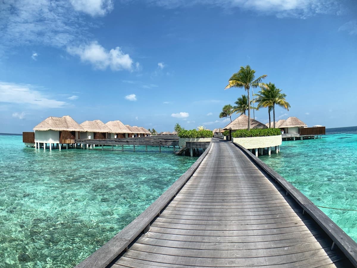 Commerce and industry in Maldives