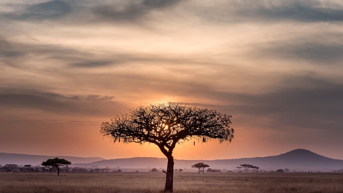 Business landscape in Tanzania