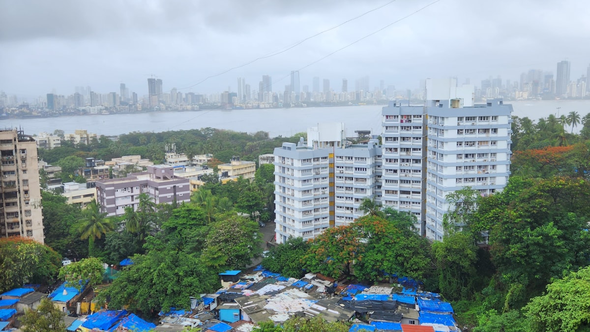 Article illustration