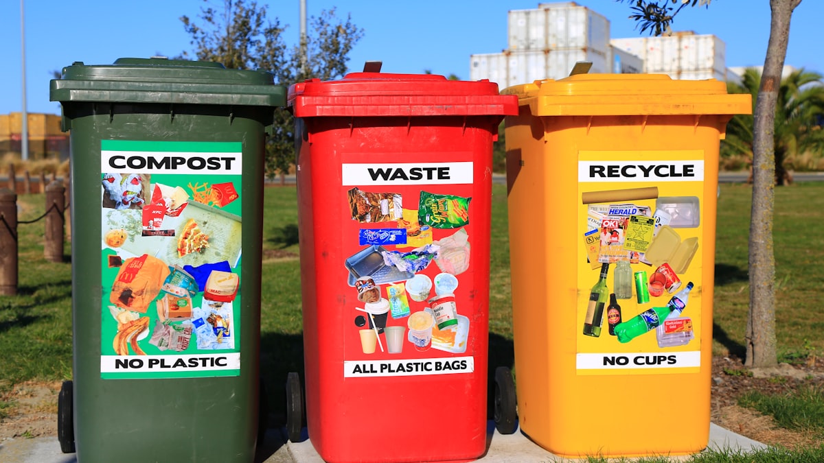 Article illustration